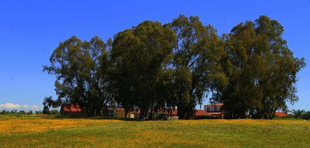 Villa Couto Dos Pardinhos Monforte da Beira Exterior foto